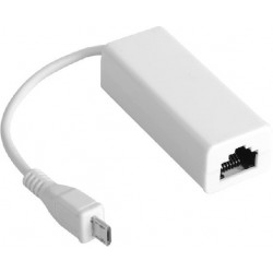 Convertisseur Micro-USB vers Ethernet RJ45