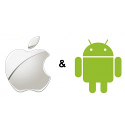 Forfait Restauration du Système d'Exploitation - Tablettes