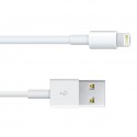 Câble Lightning / USB 1m ORIGINAL - APPLE