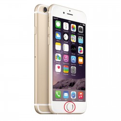 [Réparation] Nappe de Bouton HOME Blanc / Or ORIGINALE - iPhone 6S à Caen