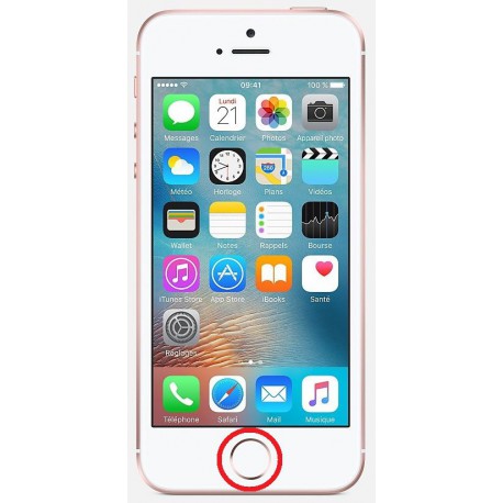 [Réparation] Nappe de Bouton HOME Blanc / Or Rose ORIGINALE - iPhone SE